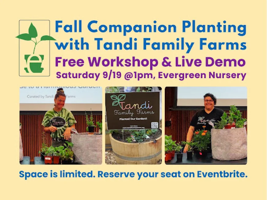 Fall Companion Planting Workshop | Evergreen Nursery