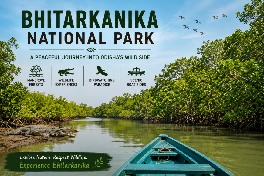 The Quiet Wild: A Season Inside Bhitarkanika National Park