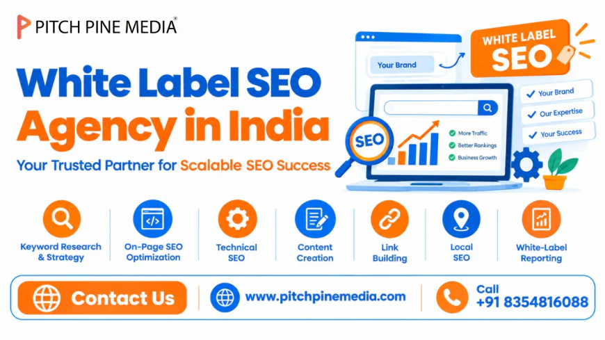 How Can White Label SEO Help Your Agency Grow?