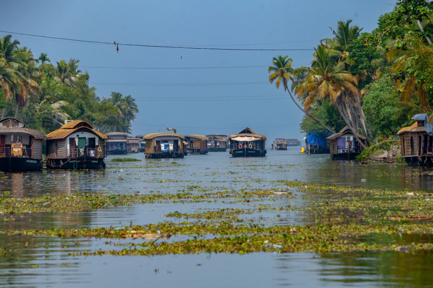 Kerala Tour Package: Explore Munnar, Alleppey, Kochi & Thekkady
