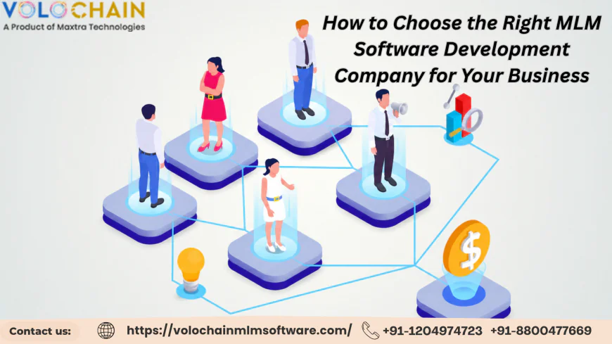 How to Choose the Right MLM Software Development Company for Your Business