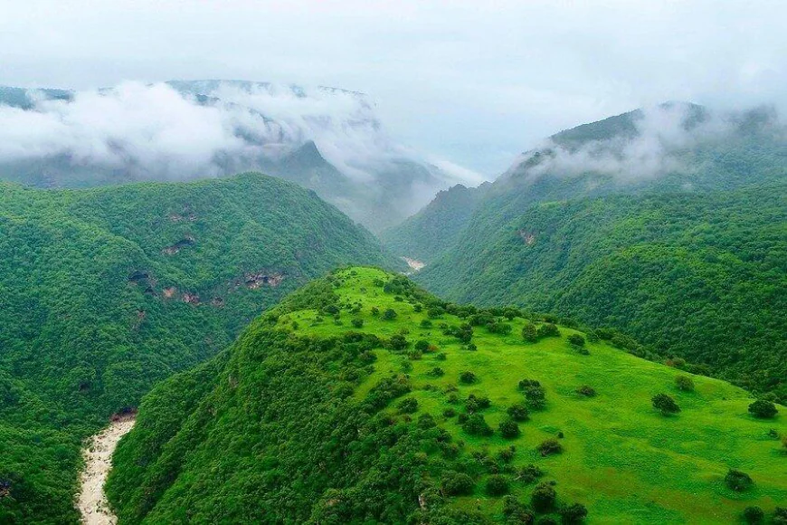 What Makes Salalah a Perfect Escape from the Summer Heat?