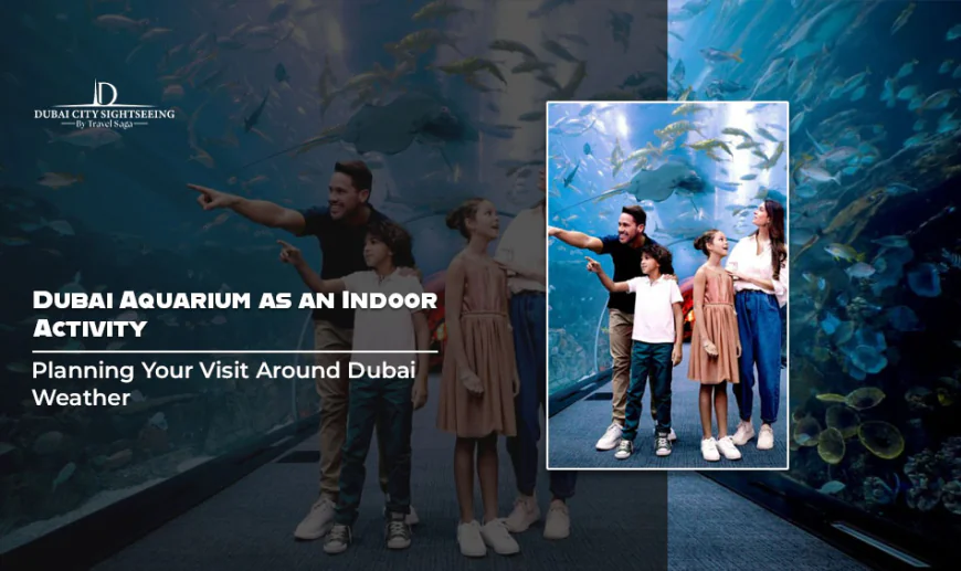 Dubai Aquarium as an Indoor Activity: Planning Your Visit Around Dubai Weather