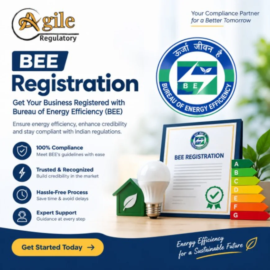 BEE Registration Online: A Step-by-Step Guide for Product Applications