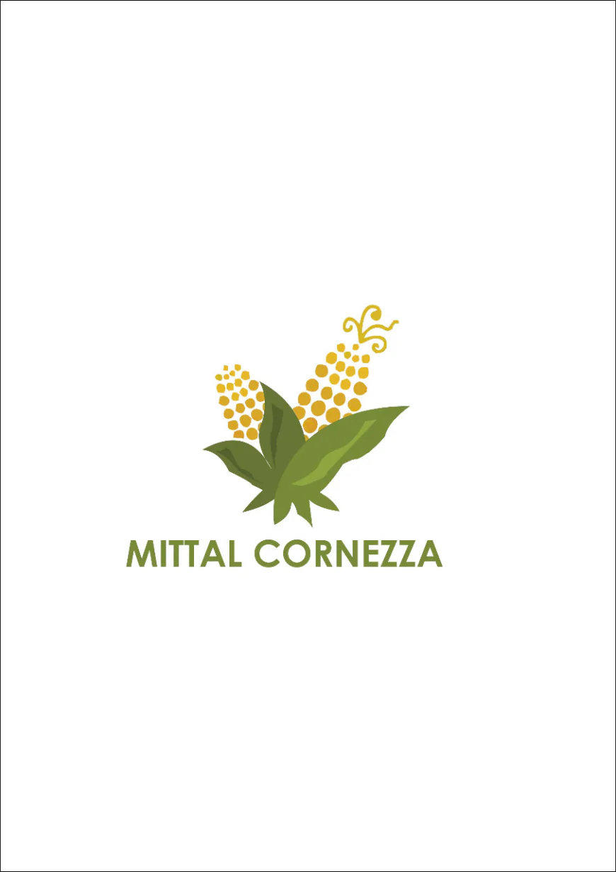 7 Key Factors That Determine the Quality of Corn Grits