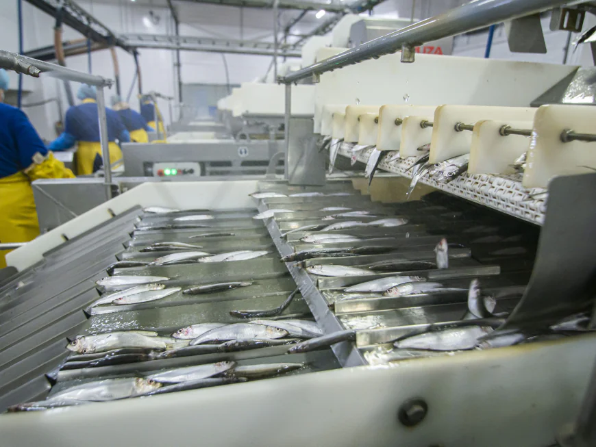 Fish Processing Market Size, Trends, and Strategic Outlook 2026-2033