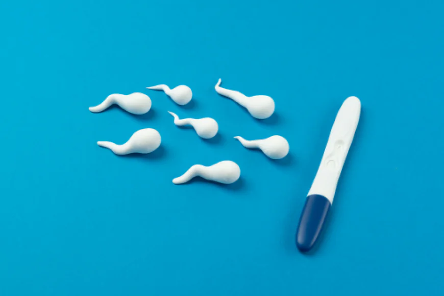 What Is Azoospermia and How Can It Be Treated?