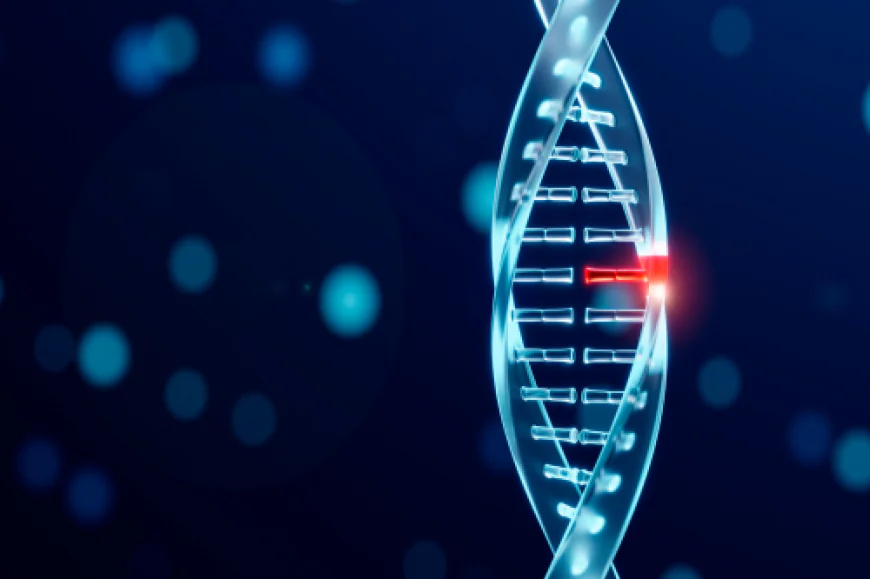 How Does Sperm DNA Fragmentation Affect Fertility and IVF Outcomes?