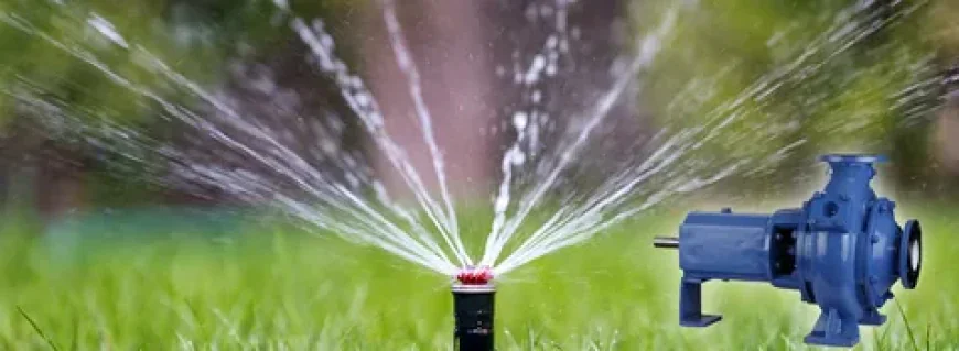 Reliable Solutions for Irrigation Pump Problems