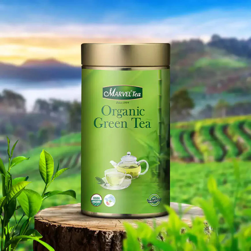The Science Behind Green Tea Benefits Explained Simply