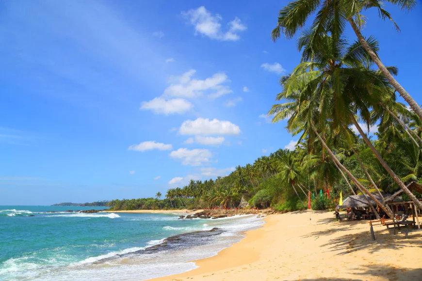Which Scenic Train Journeys Should You Experience in Sri Lanka?