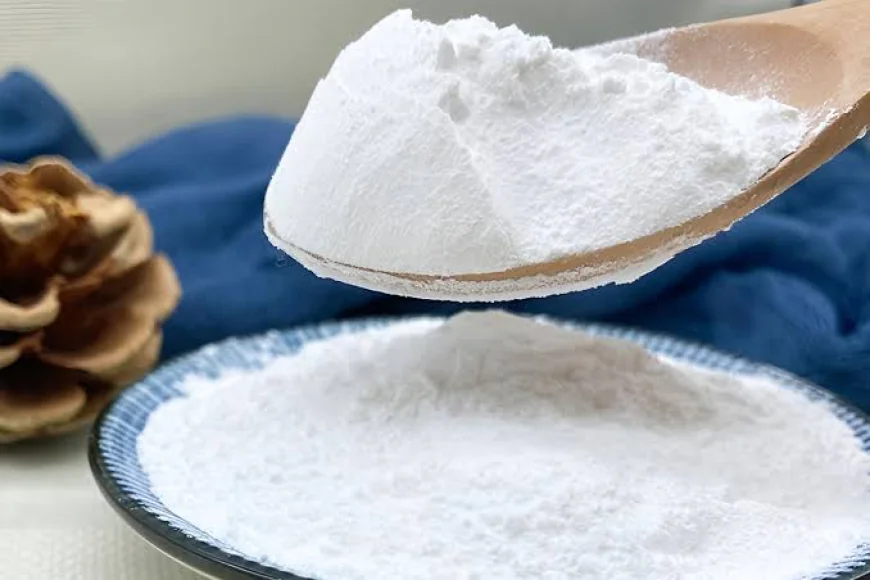 Strategic Insights on Calcium Propionate Market Size, Growth, and Trends