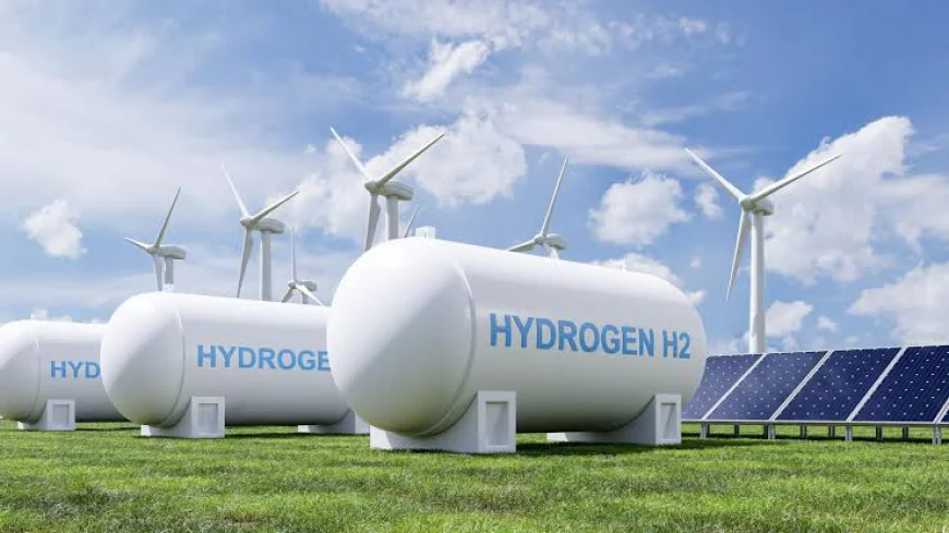 Green Hydrogen Market Size, Growth, and Strategic Insights: 2026-2033