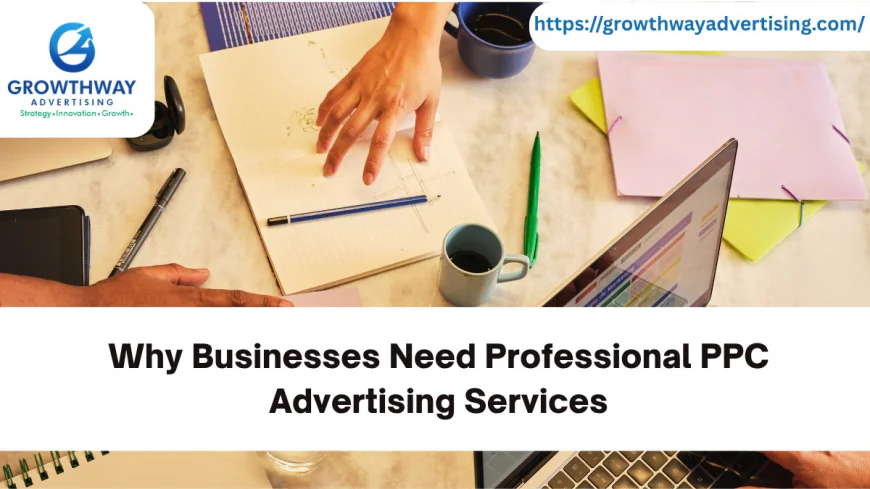 Why Businesses Need Professional PPC Advertising Services