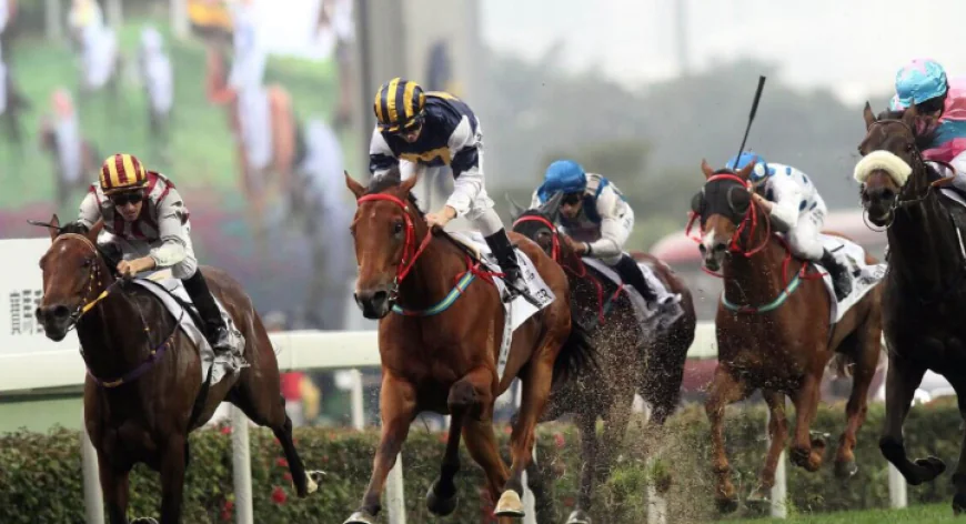 10 Ways Horse Racing Speed Ratings Can Improve Race Analysis