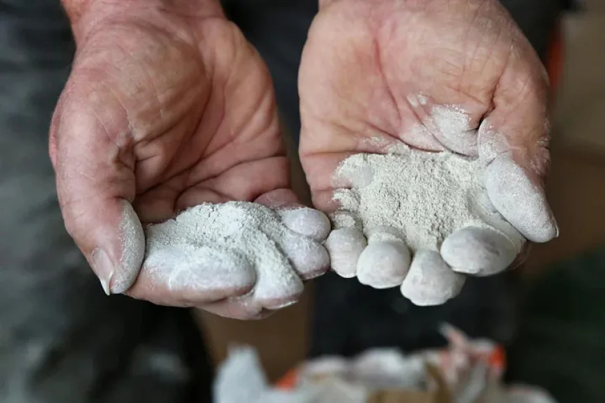 Why Choose Quality Diatomaceous Earth in India for Industrial Applications?