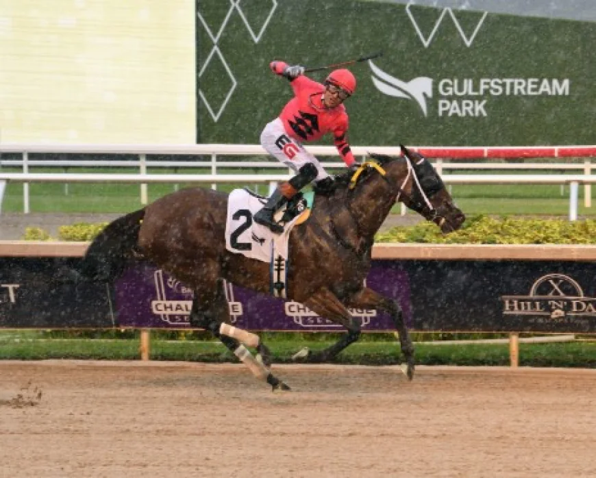 Horse Race Tips: Understanding Factors That Influence Racing Performance