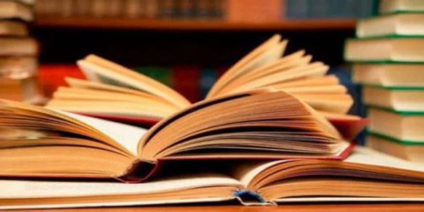 Robert E. Ferguson and the Stories That Turned Adventure Into Fiction