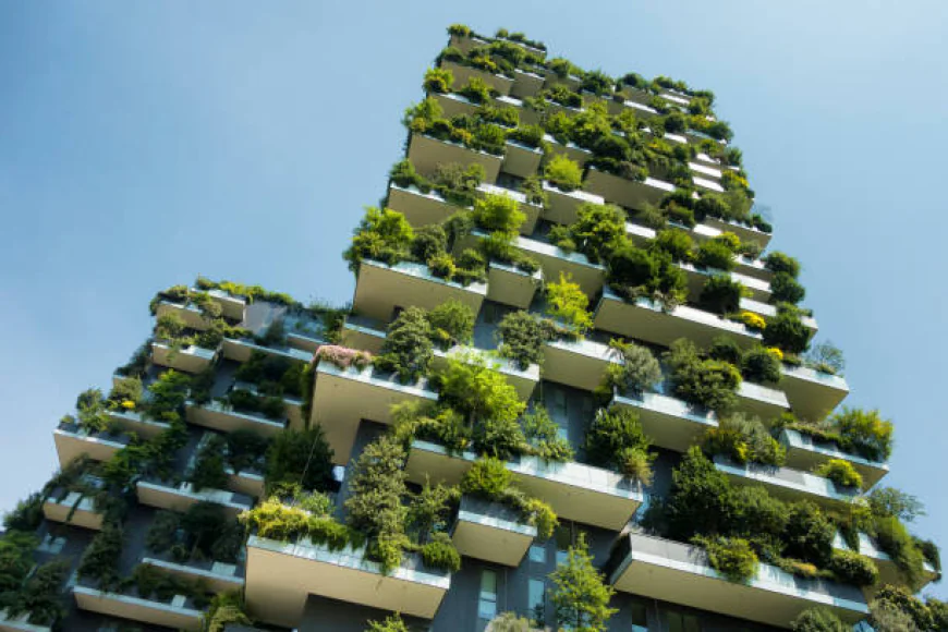 Green Building Materials Shaping Sustainable Construction