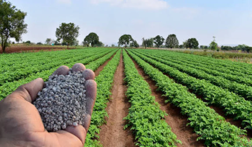 Brazil Nitrogenous Fertilizers Gain Importance as Crop Production and Supply Security Evolve