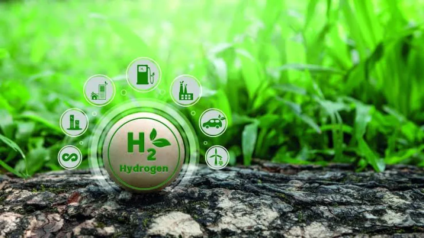 Japan Green Hydrogen Market Size, Share and Future Outlook 2026–2034