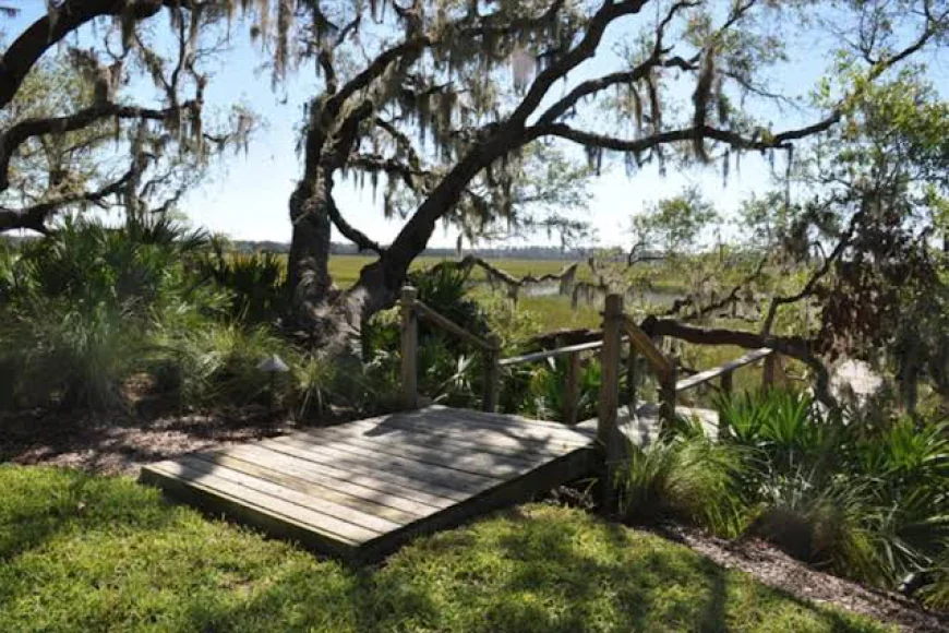 How Native Landscaping Supports Charleston’s Local Wildlife