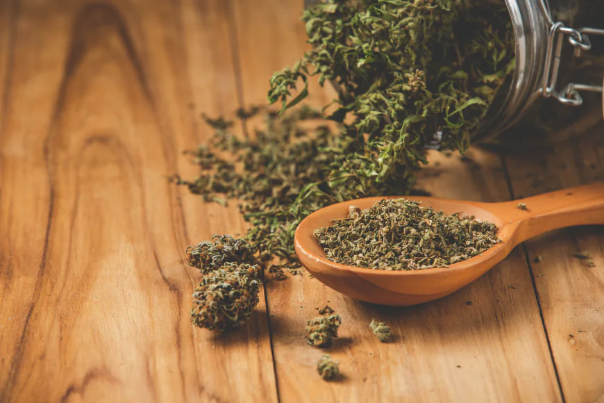 What UK Consumers Should Know About Online Cannabis Products