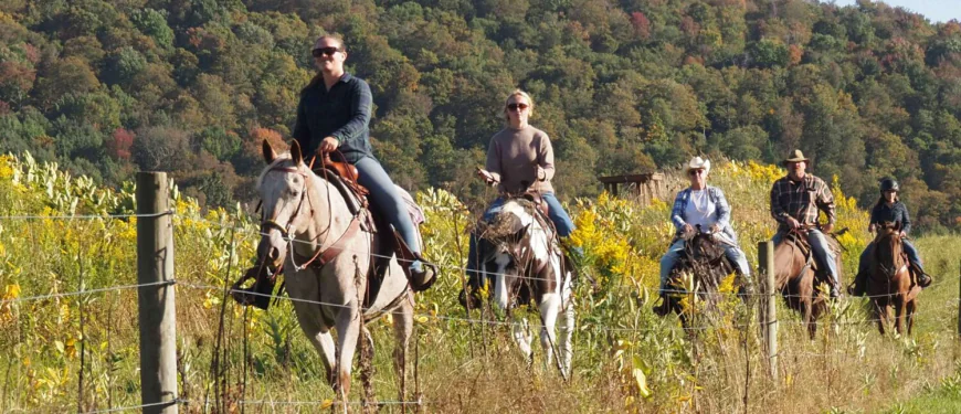 Things to Do in the Catskills: A Year-Round Guide to Delaware County, NY