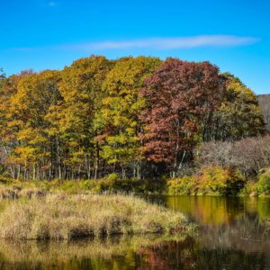 Things to Do in the Catskills: A Year-Round Guide to Delaware County, NY