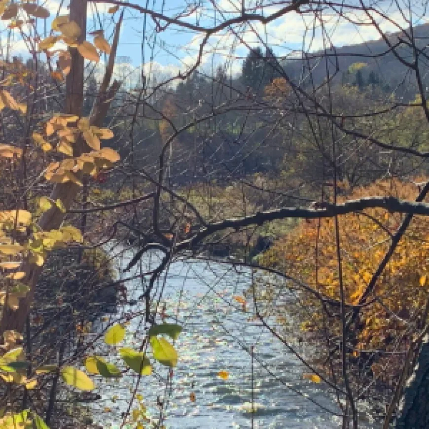 Things to Do in the Catskills: A Year-Round Guide to Delaware County, NY