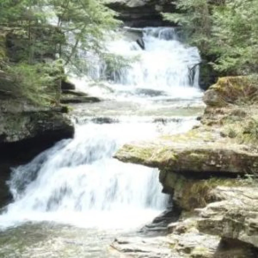 Things to Do in the Catskills: A Year-Round Guide to Delaware County, NY