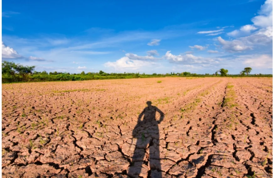 How Weather Affects Agriculture and Global Food Production