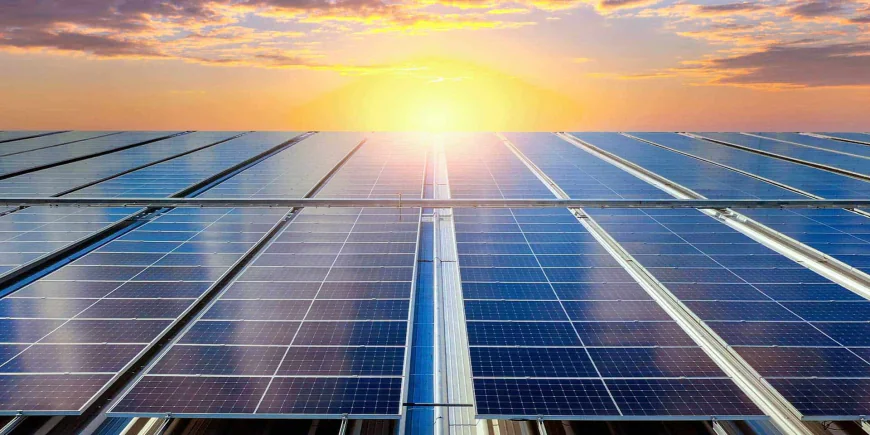 Solar Battery Sydney Guide: How Solar Batteries Help Maximise Your Energy Savings