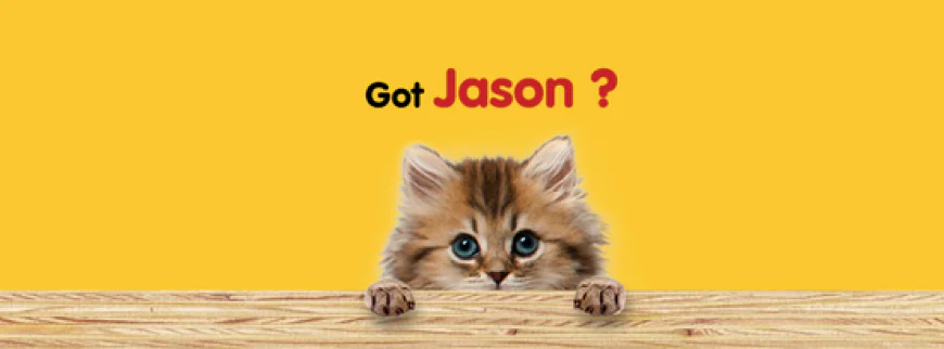 Choosing the Right Cat Litter Size | Jason Cat Litter