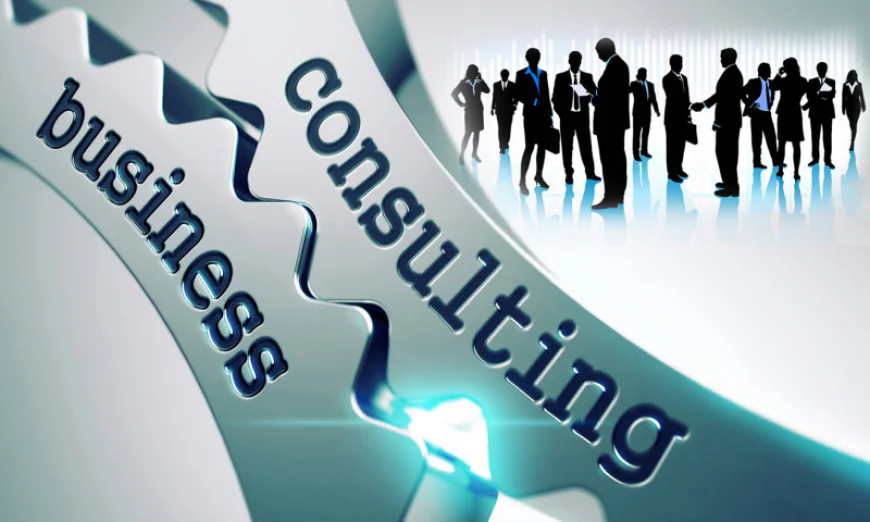 How Can Business Consulting Firms in Miami Support Growth?