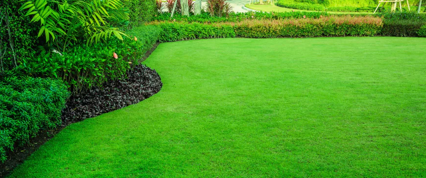 Tree Cutting West Pennant Hills and Thornleigh: A Guide to Safe Tree Removal and Pruning