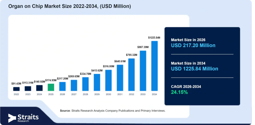 Organ-on-Chip Market: Unlocking New Possibilities in Personalized Medicine