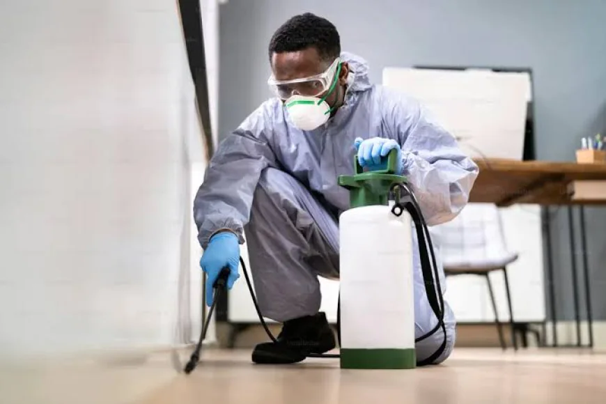 What to Look for When Choosing SEO Services for Pest Control