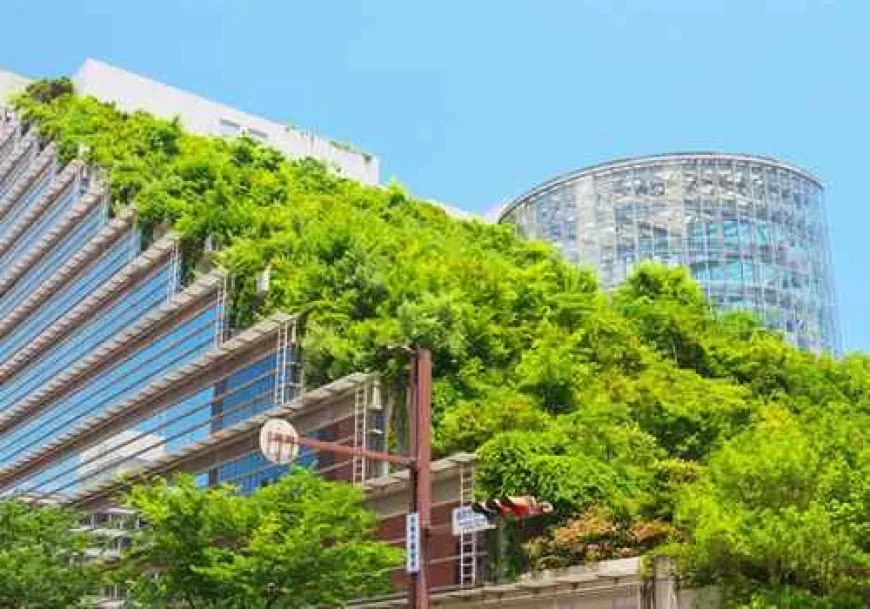 How Green Building Creates Sustainable & Energy-Efficient Homes