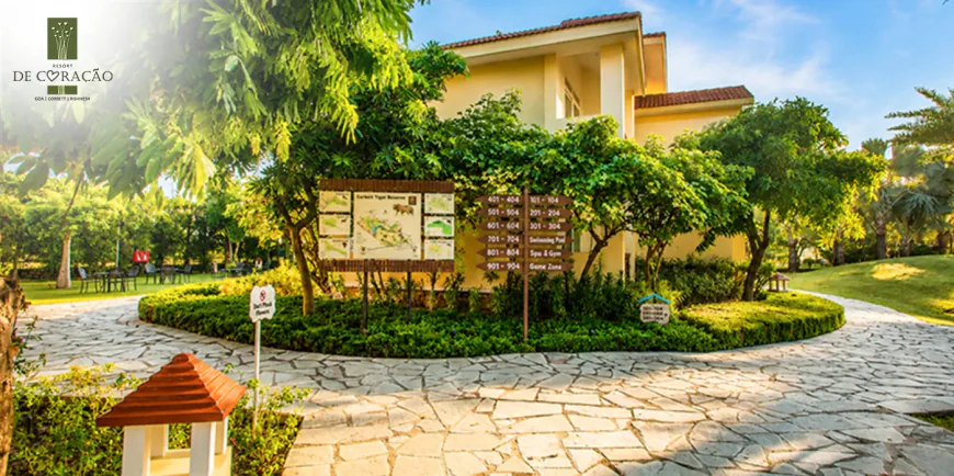 Best Time to Visit Jim Corbett for Wildlife Sightings and Where to Stay in Style