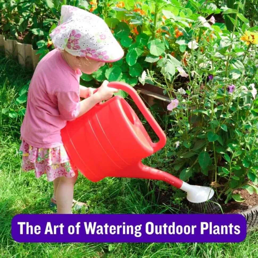 Monarch Plants: How to Water Them in Pots and Garden Beds