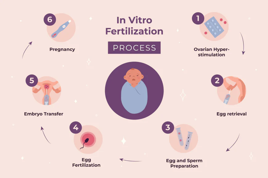 How Does IVF Treatment Work Step by Step?