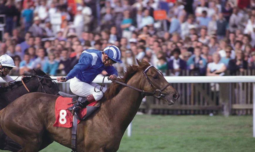 10 Ways a Horse Racing System Builder Can Improve Betting System Research