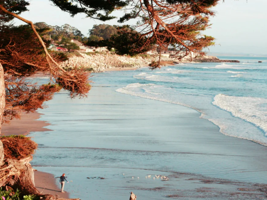 Weekend Wellness Retreat in Santa Cruz: A Nature-Based Escape for Mind, Body & Renewal