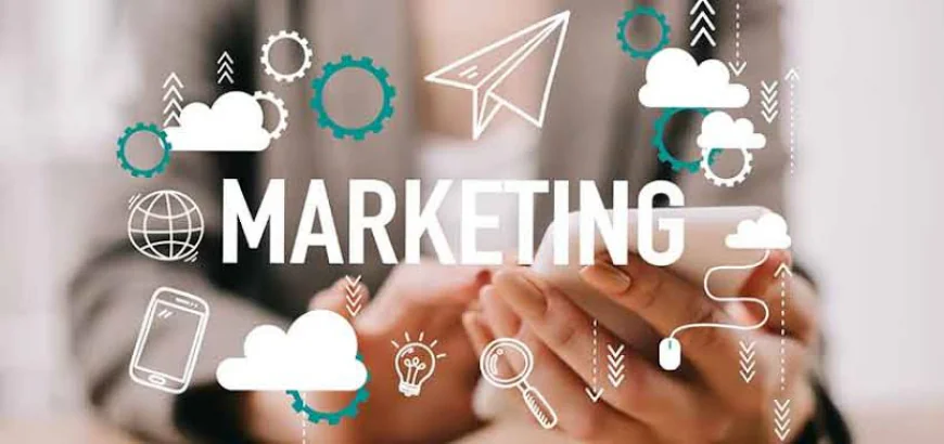 Creative Design Solutions for Digital Marketing Needs