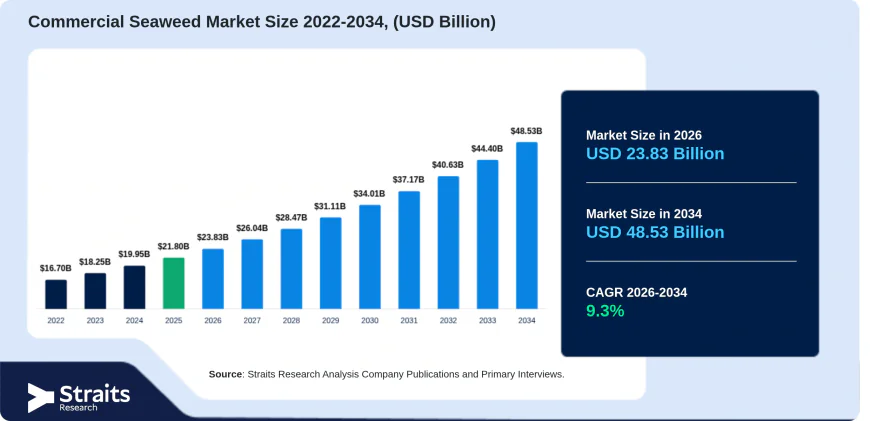 Commercial Seaweed Market Set to Transform Modern Food and Bioproduct Industries