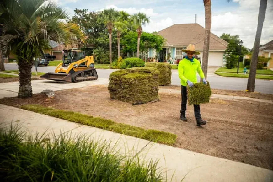 Stump Grinding in Elgin, IL: Restore Your Yard After Tree Removal