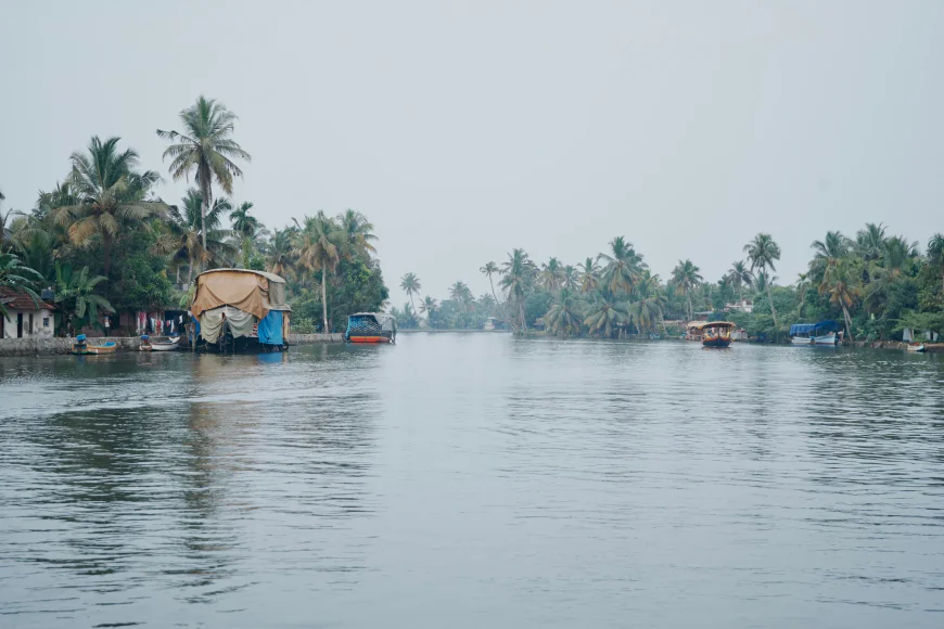 Kerala Honeymoon vs Goa Honeymoon: Which Is Better for Couples?