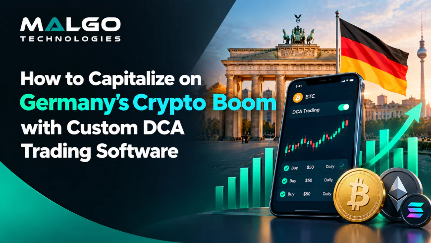 How to Capitalize on Germany’s Crypto Boom with Custom DCA Trading Software