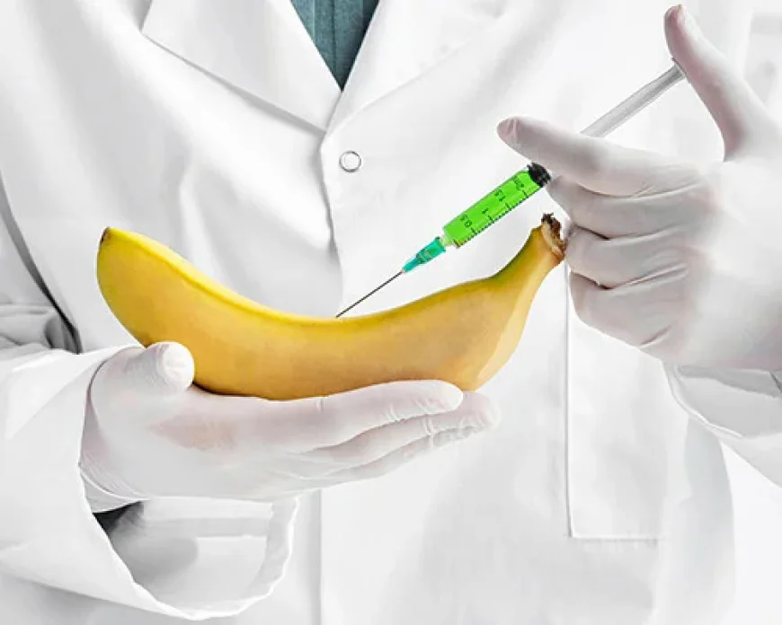 Penile Fillers Treatment in Lucknow: Procedure, Benefits, Risks and Considerations